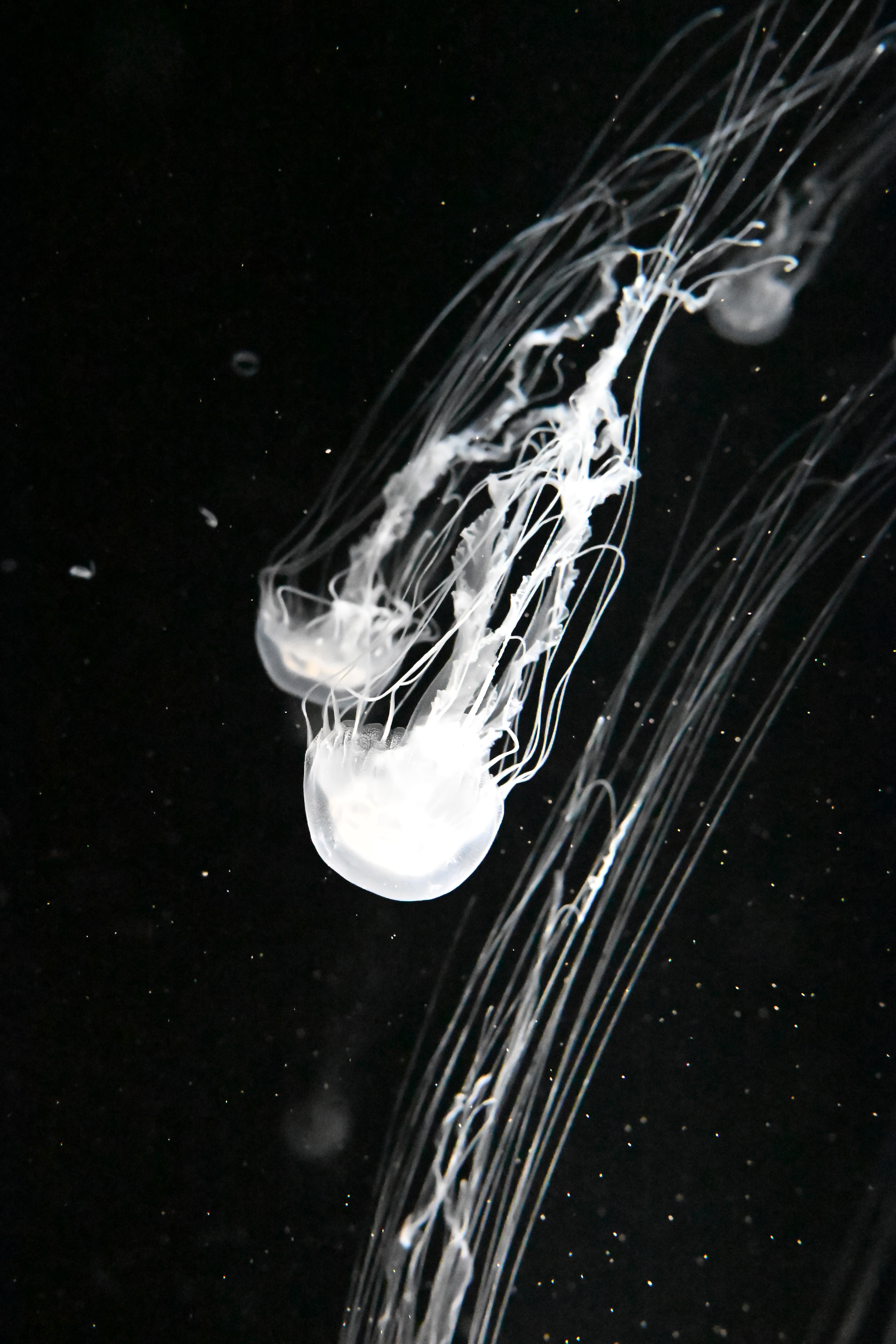 Texture from Osaka, Japan