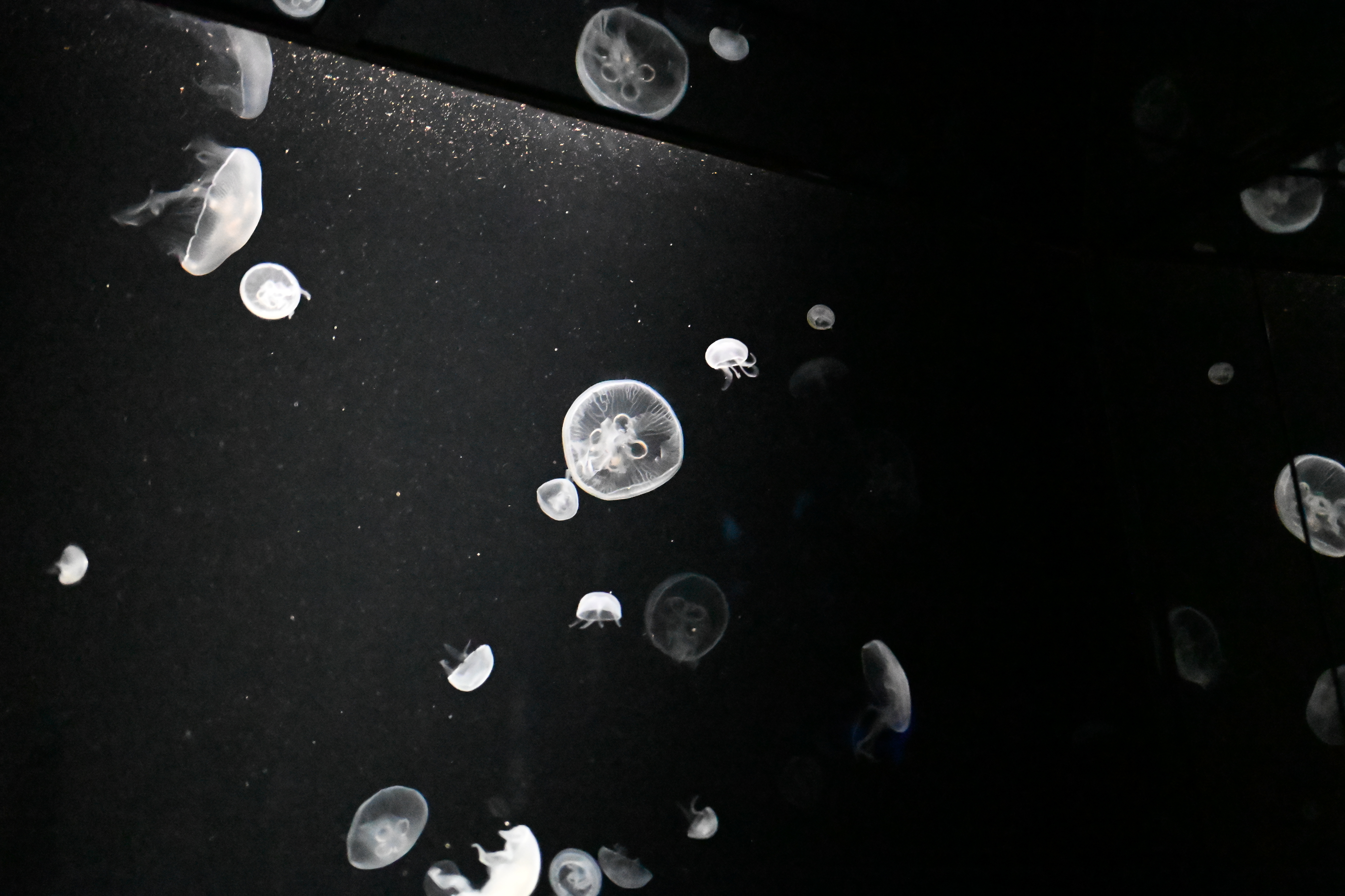 Texture from Osaka, Japan