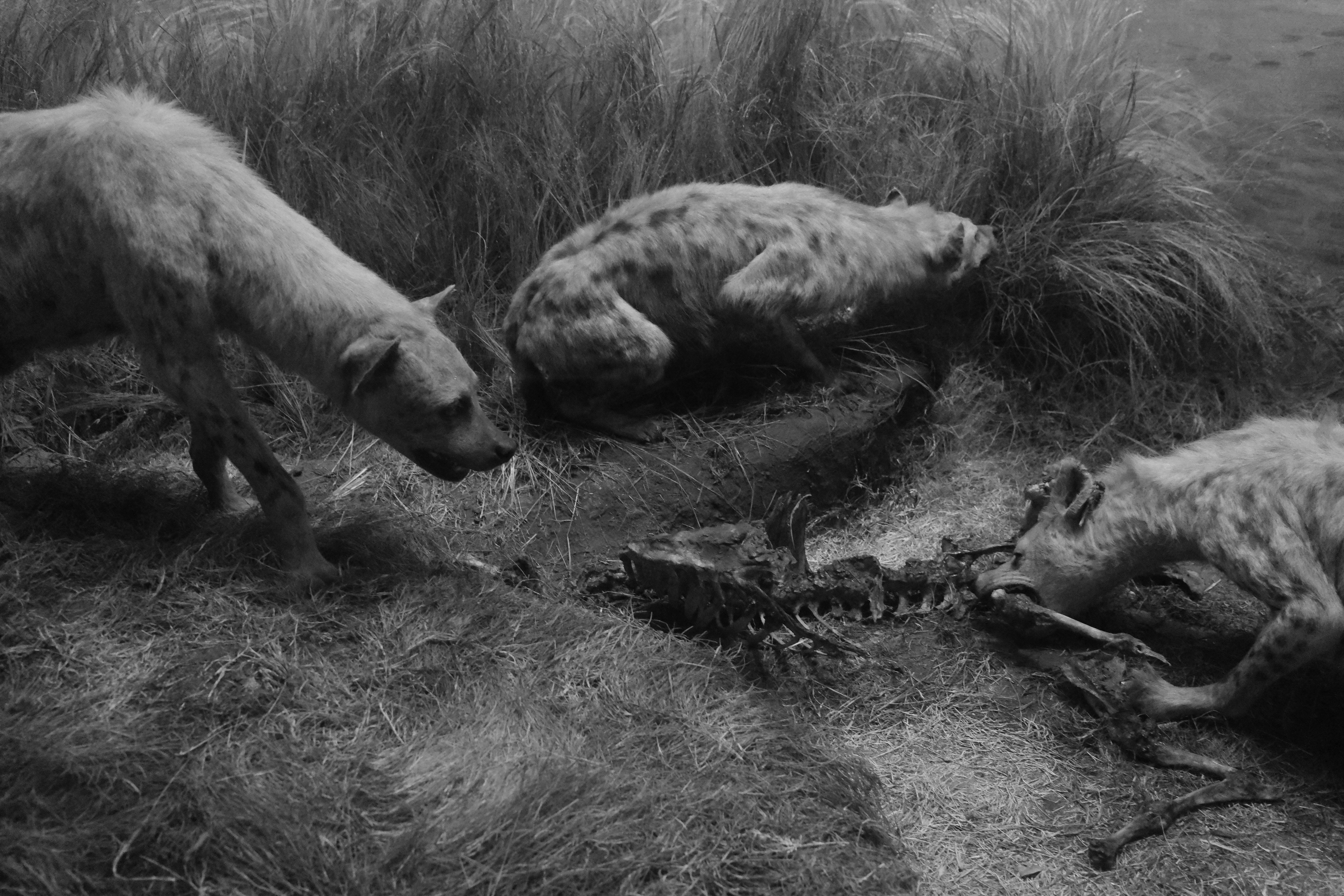 Texture from Los Angeles, USA