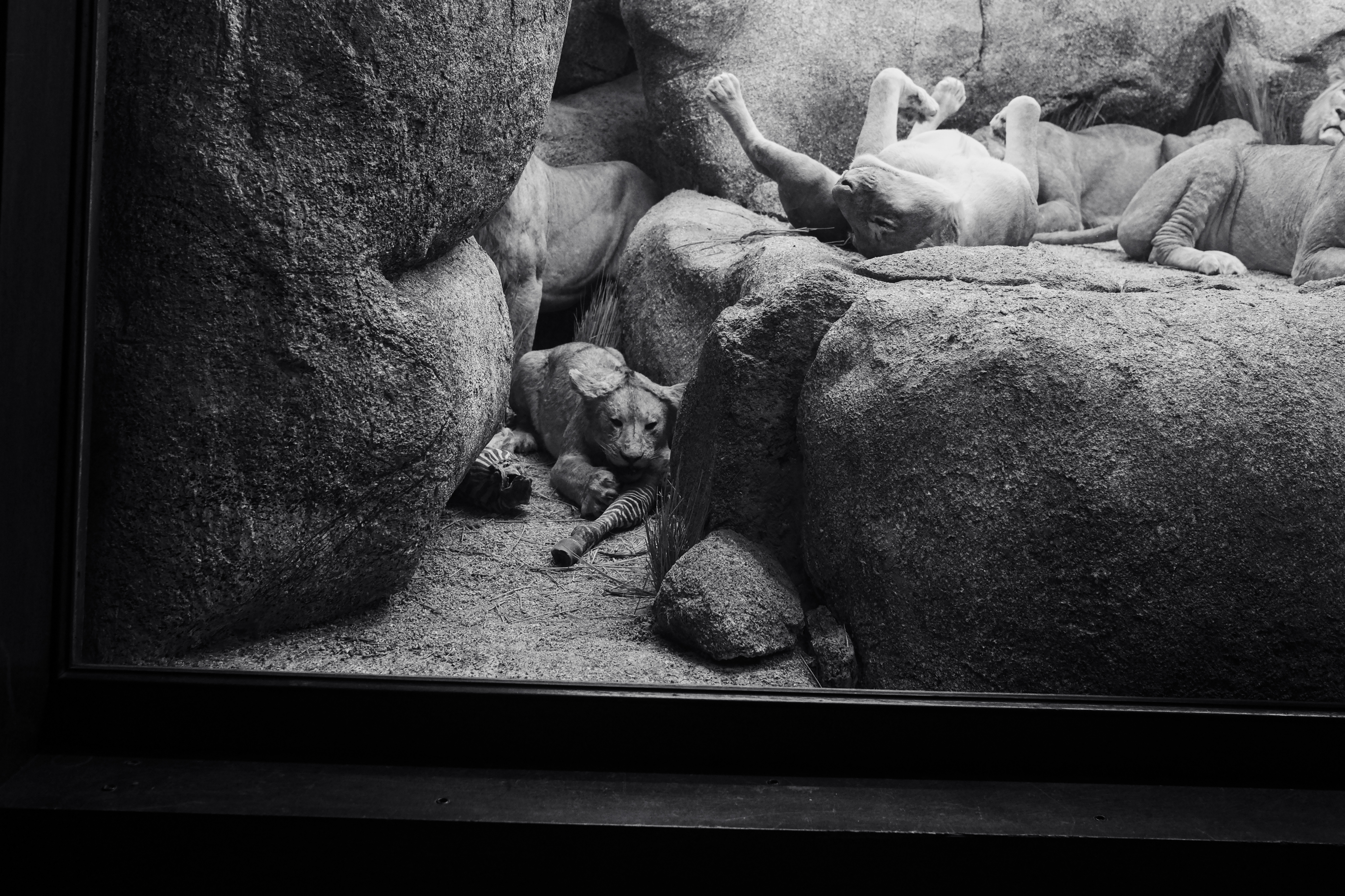 Texture from Los Angeles, USA