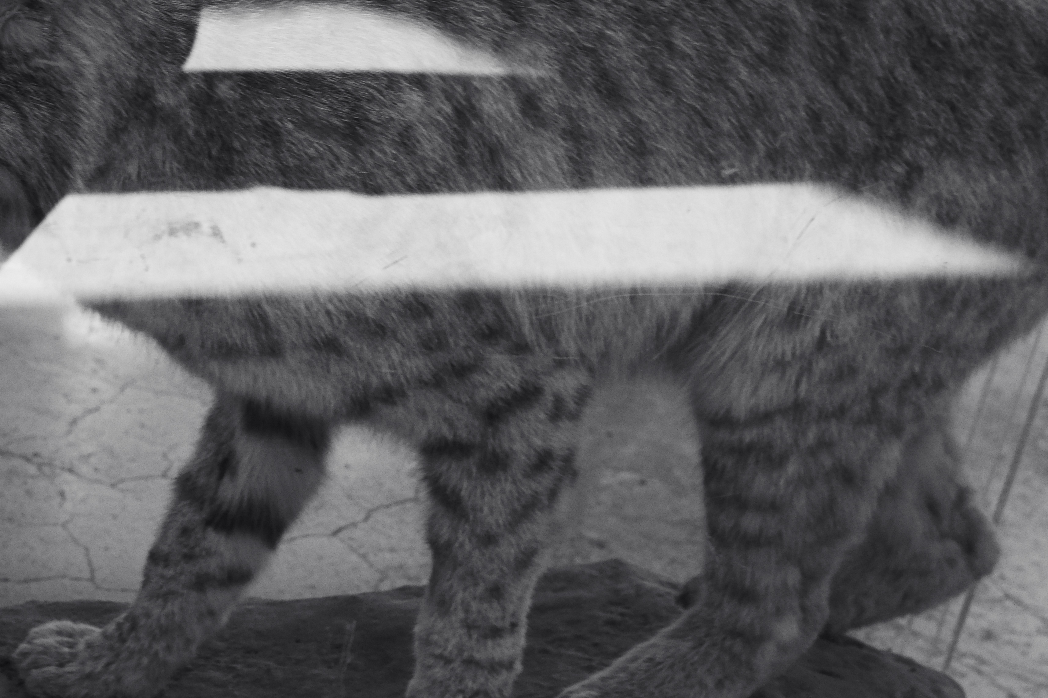 Texture from Los Angeles, USA