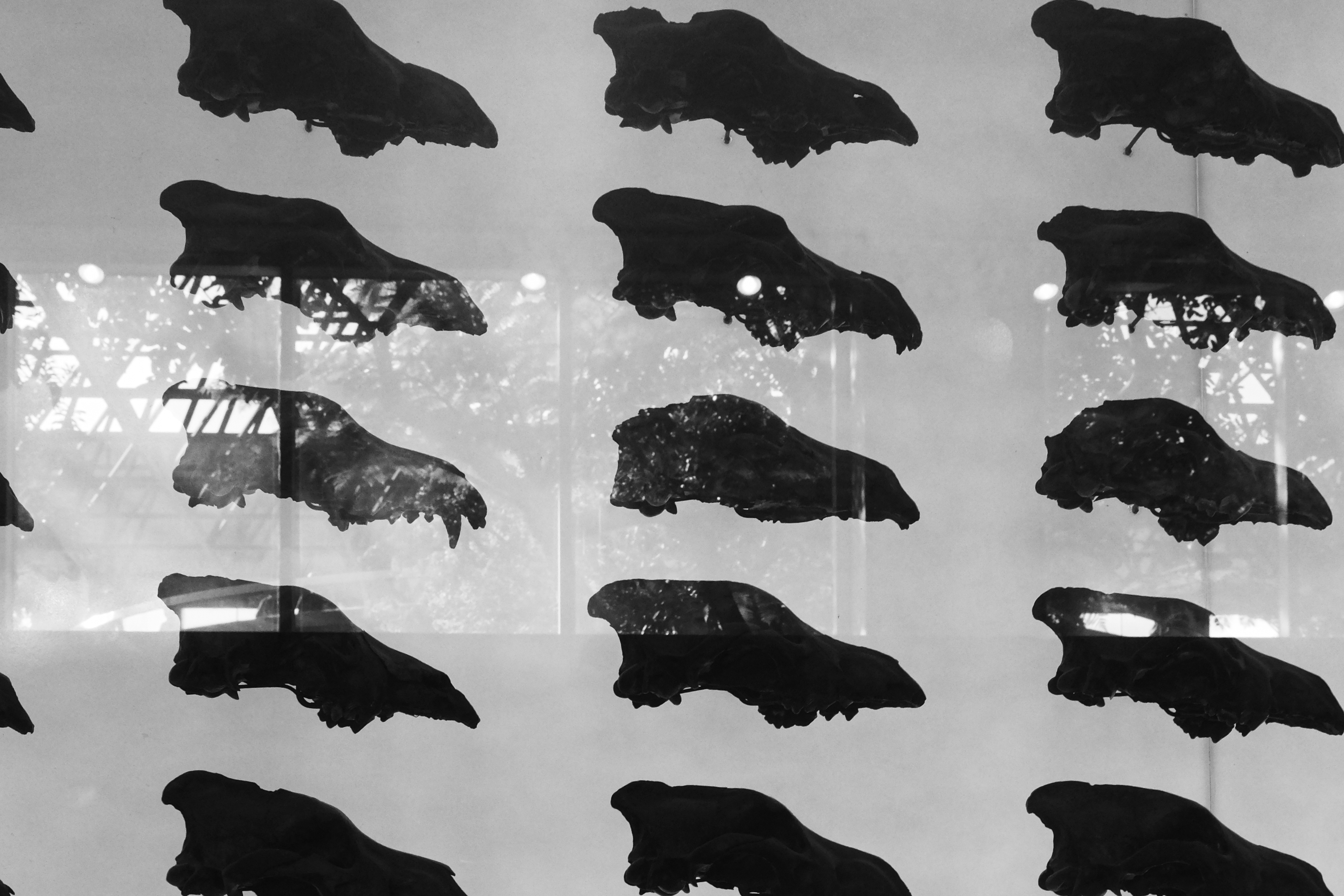 Texture from Los Angeles, USA