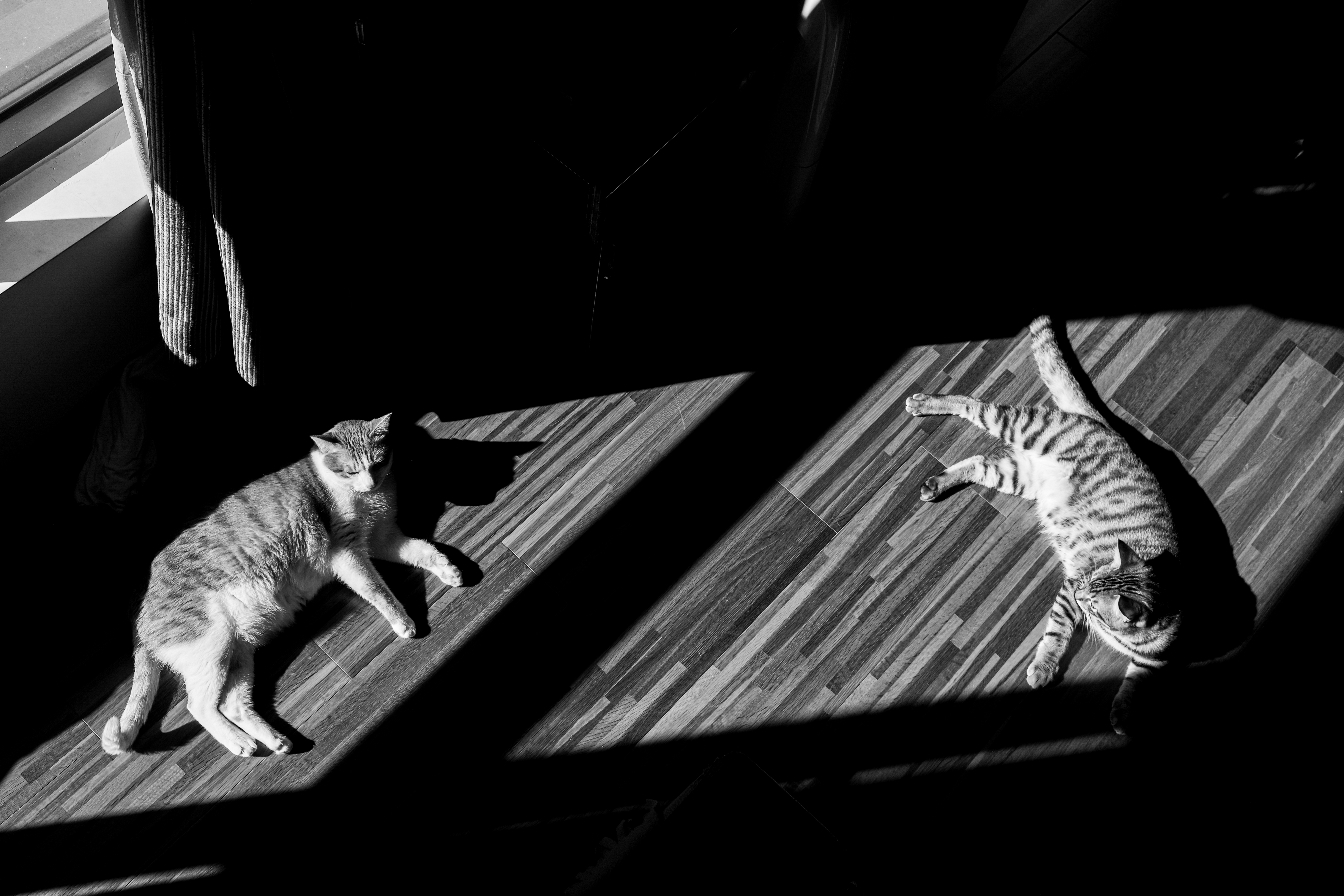 Texture from Tamsui, Taiwan