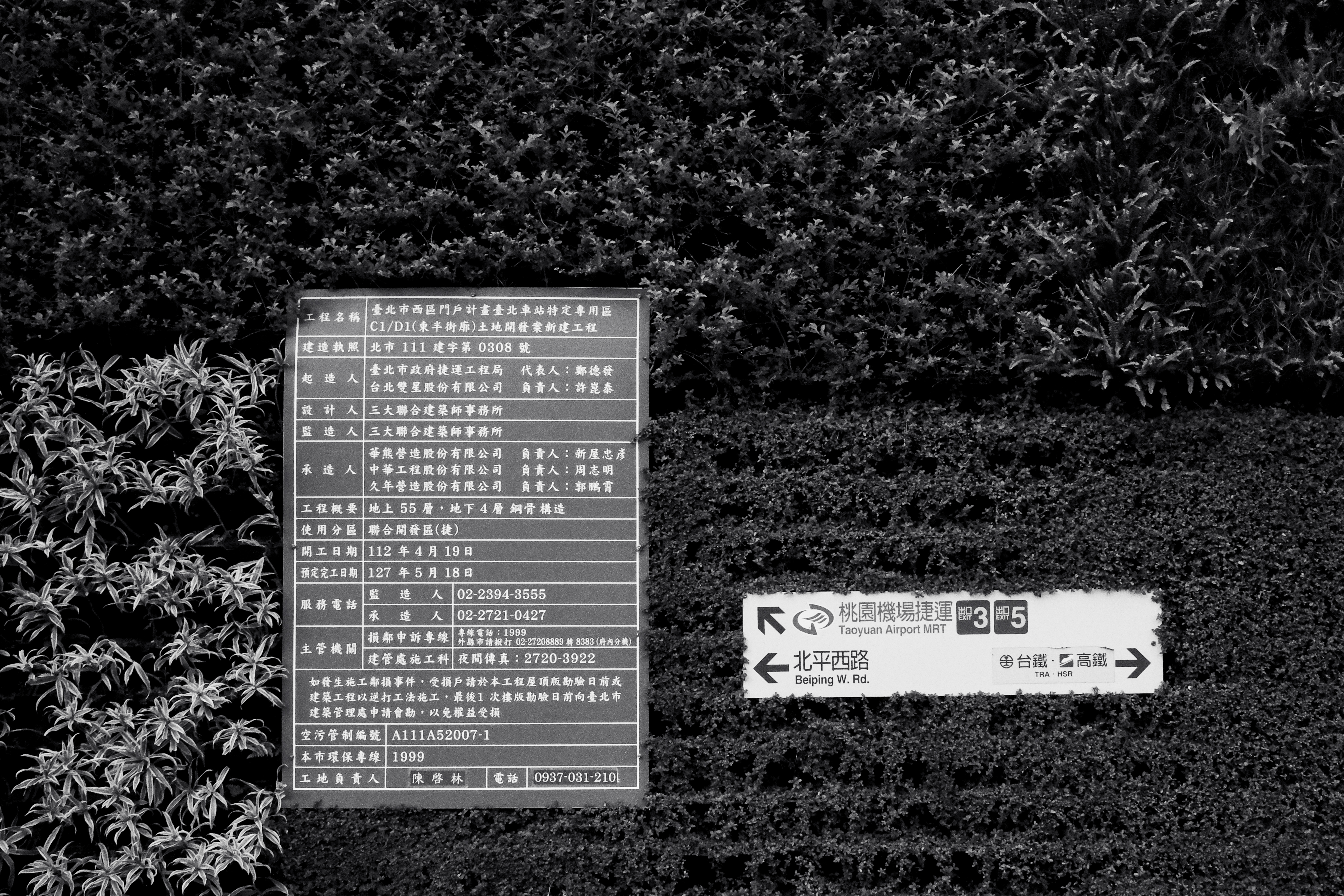 Texture from Taipei, Taiwan