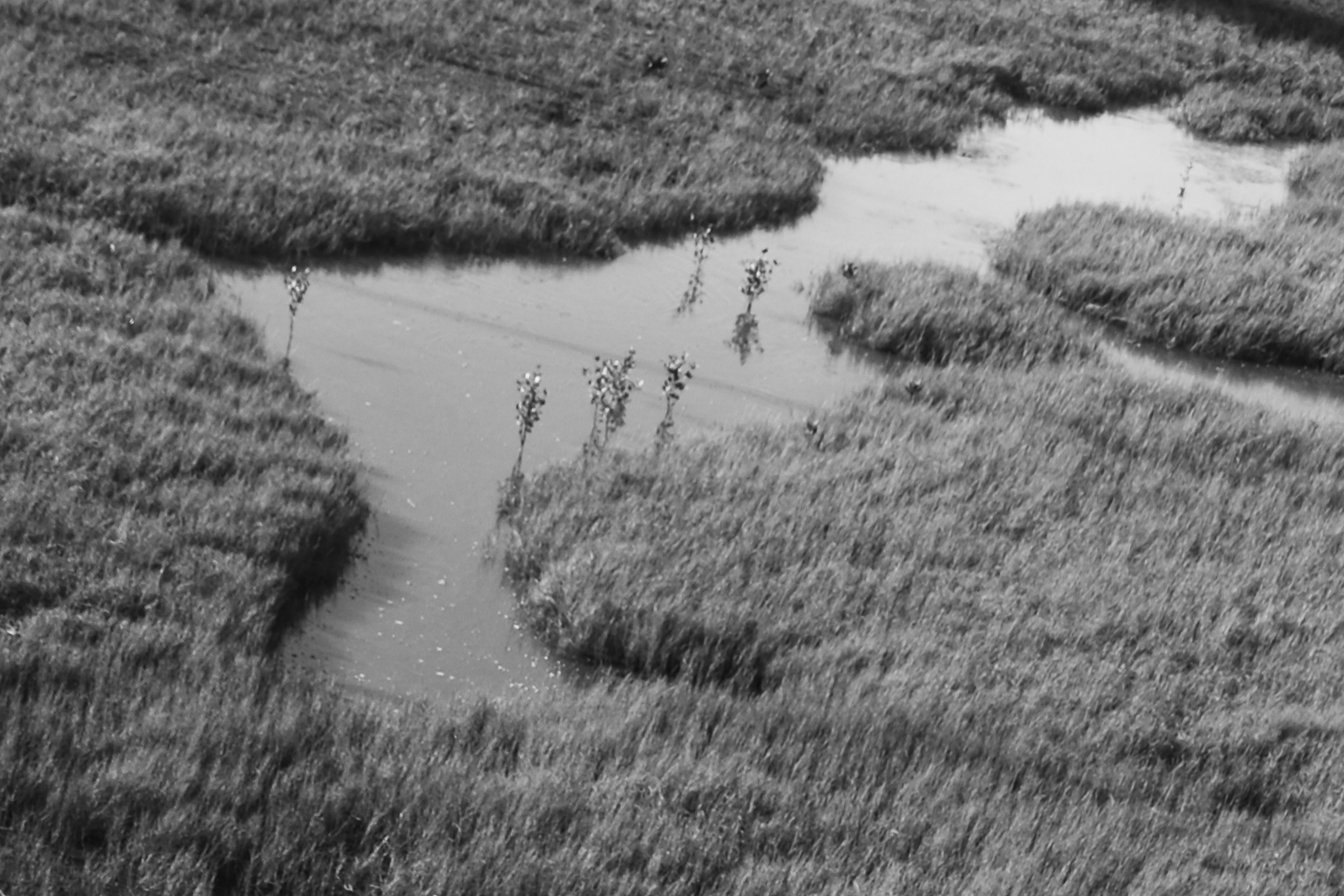 Texture from Taichung, Taiwan