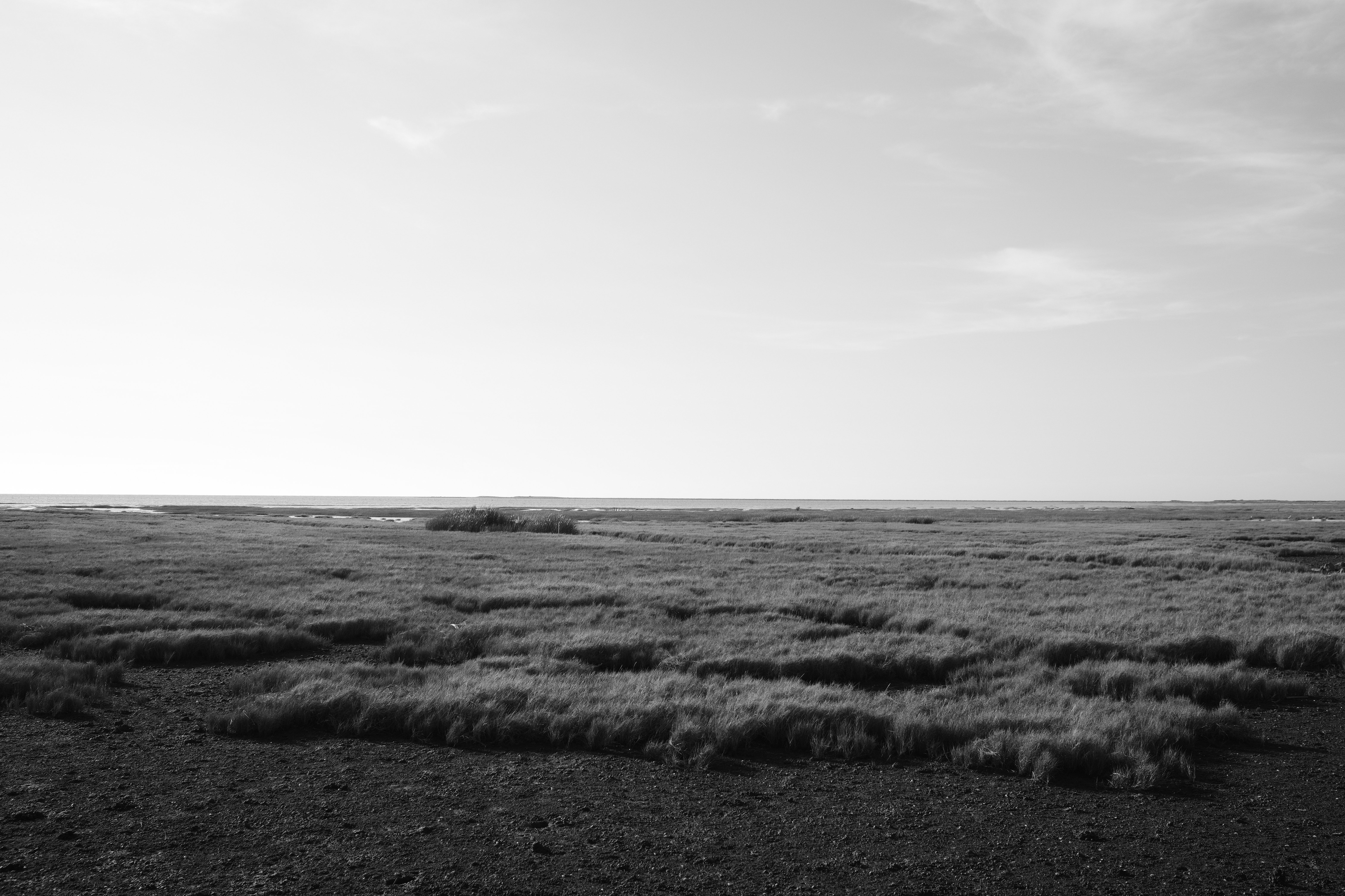 Texture from Taichung, Taiwan