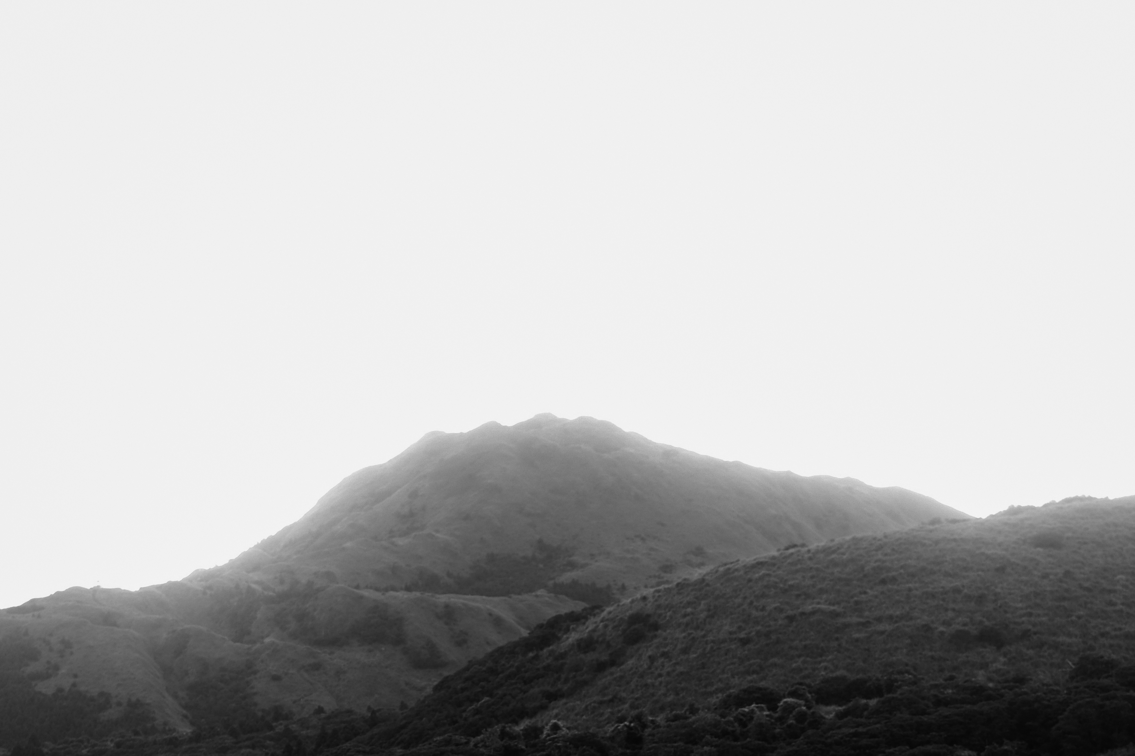 Texture from Yangmingshan, Taiwan