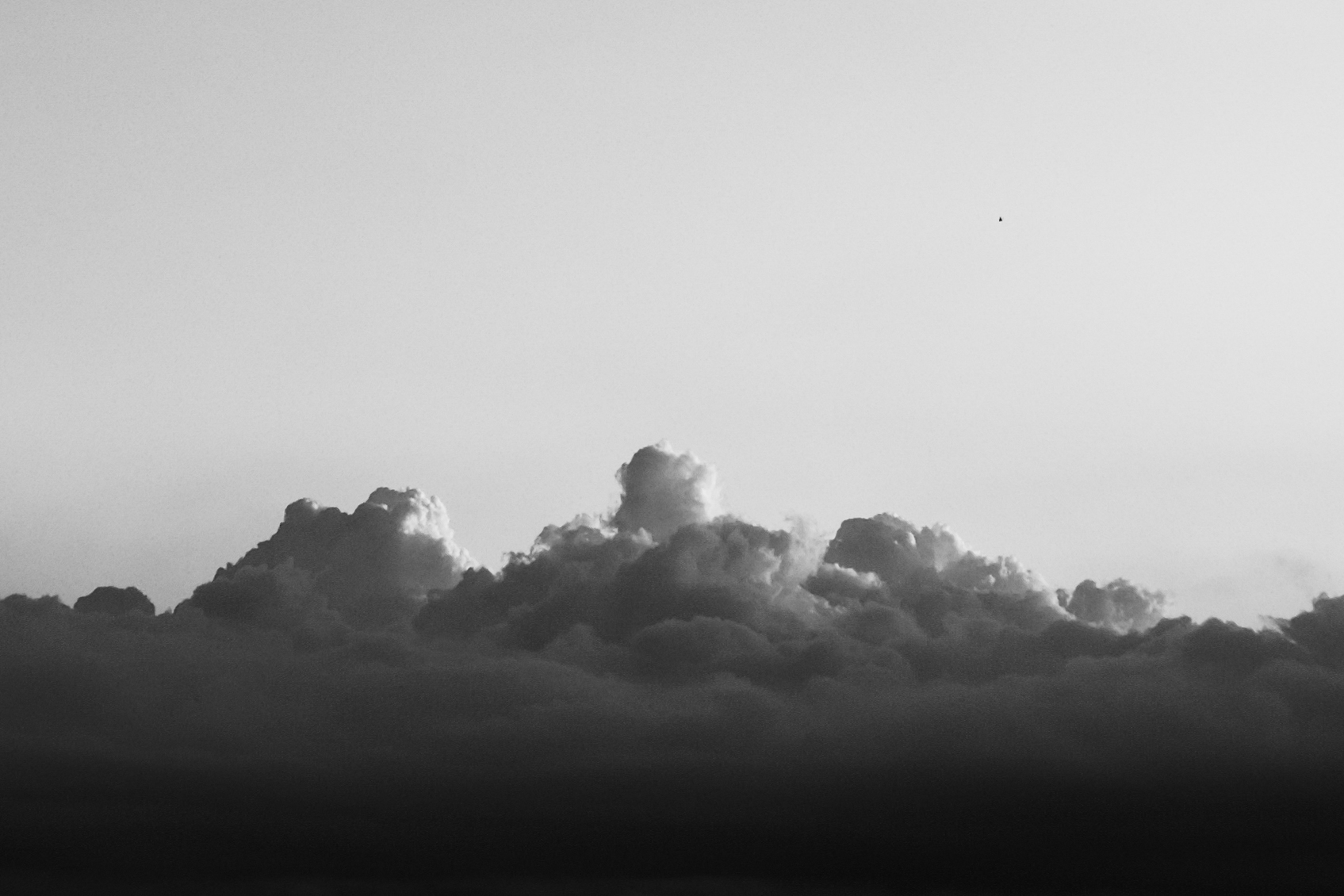 Texture from Yangmingshan, Taiwan