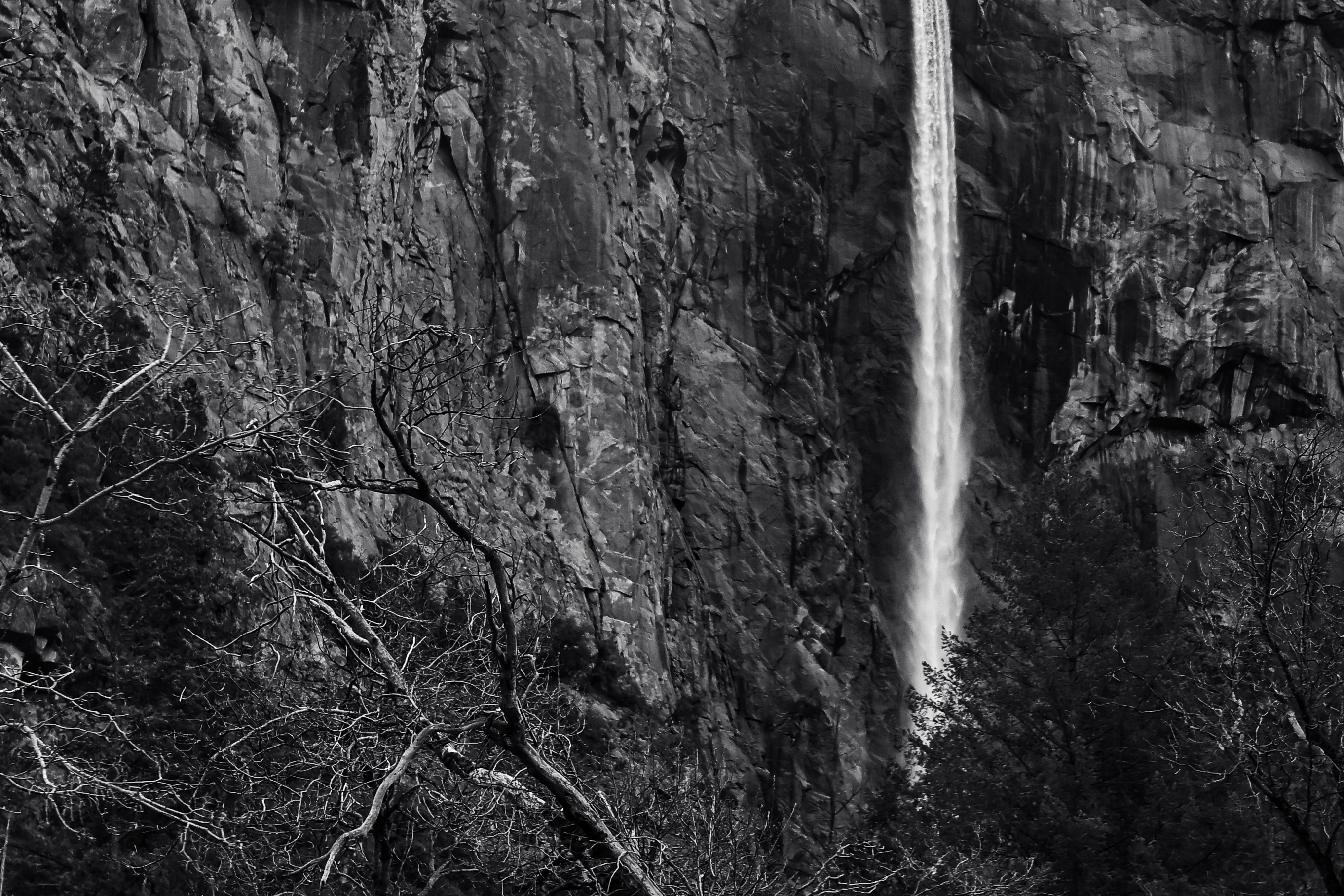 Texture from Yosemite National Park, USA